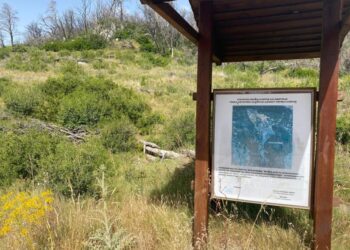 Σαν να μην πέρασε μια μέρα: Η Πάρνηθα κάηκε το 2021 και σήμερα δεν έχει αλλάξει τίποτα – Αποκαλυπτικό φωτορεπορτάζ