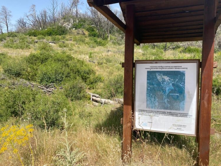 Σαν να μην πέρασε μια μέρα: Η Πάρνηθα κάηκε το 2021 και σήμερα δεν έχει αλλάξει τίποτα – Αποκαλυπτικό φωτορεπορτάζ