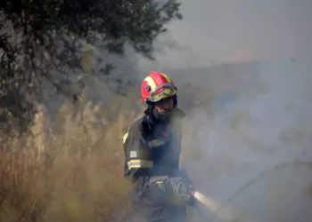 Φωτιά σε Μαρκόπουλο Αττικής, Κάρυστο και Θήβα – Στη μάχη εναέριες και επίγειες δυνάμεις