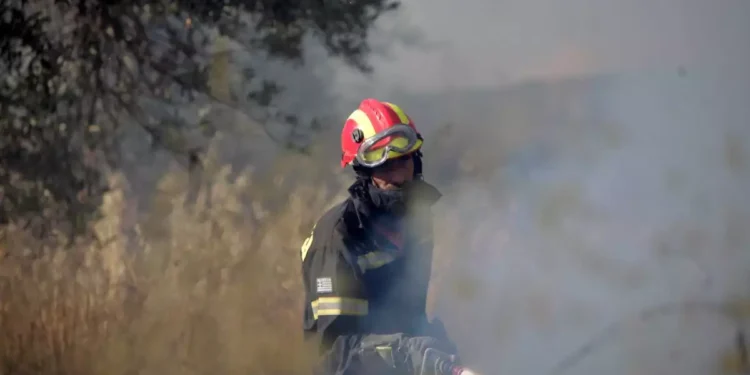 Φωτιά σε Μαρκόπουλο Αττικής, Κάρυστο και Θήβα – Στη μάχη εναέριες και επίγειες δυνάμεις