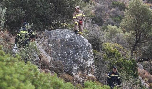 emak-eksafanisi-dasos