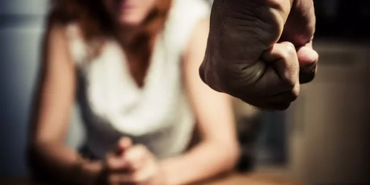 Χρυσοχοΐδης: Μόνο χθες βράδυ είχαμε 61 συλλήψεις για ενδοοικογενειακή βία