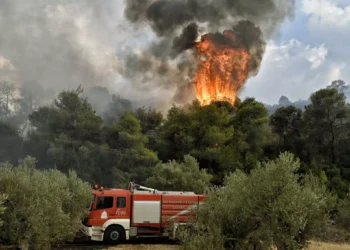 Φωτιά στην Κερατέα – Καίει σε χαμηλή βλάστηση