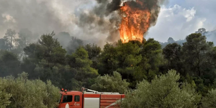 Φωτιά στην Κερατέα – Καίει σε χαμηλή βλάστηση