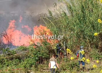 Σέρρες: Σε εξέλιξη μεγάλη φωτιά έξω από τη Νέα Ζίχνη – Στη “μάχη” αεροσκάφη και ελικόπτερο