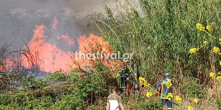 Σέρρες: Σε εξέλιξη μεγάλη φωτιά έξω από τη Νέα Ζίχνη – Στη “μάχη” αεροσκάφη και ελικόπτερο