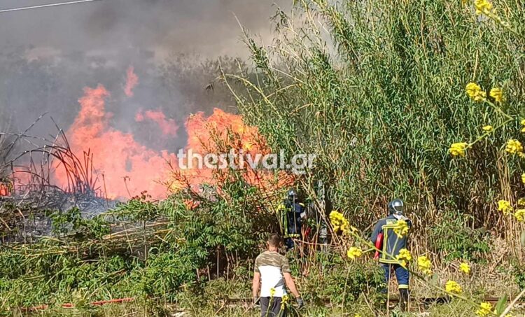 Σέρρες: Σε εξέλιξη μεγάλη φωτιά έξω από τη Νέα Ζίχνη – Στη “μάχη” αεροσκάφη και ελικόπτερο