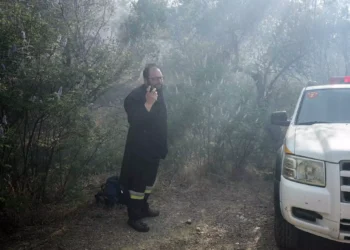 Ένας 67χρονος έκανε εργασίες 10 μέτρα από το δάσος και έκαψε 1200 στρέμματα στη Λίμνη Βόμβη