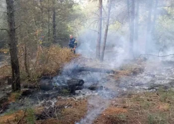 Θεσσαλονίκη: Προσήχθη ύποπτος για εμπρησμό στο δάσος του Σέιχ Σου