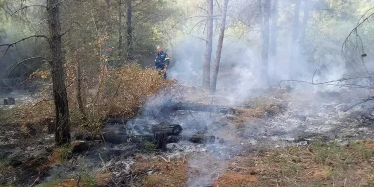 Θεσσαλονίκη: Προσήχθη ύποπτος για εμπρησμό στο δάσος του Σέιχ Σου