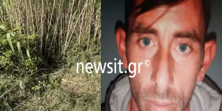 Ηλεία: Οργή και αναπάντητα «γιατί» για την άγρια δολοφονία της 11χρονης – Φρίκη και ανατριχίλα προκαλεί η περιγραφή του 37χρονου