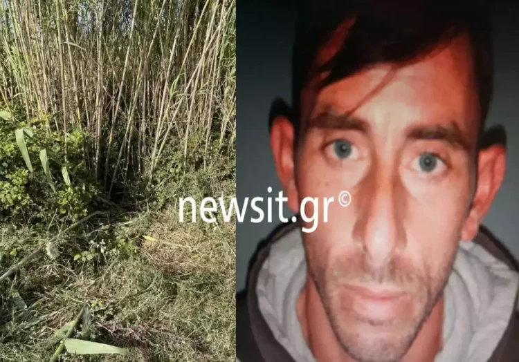 Ηλεία: Οργή και αναπάντητα «γιατί» για την άγρια δολοφονία της 11χρονης – Φρίκη και ανατριχίλα προκαλεί η περιγραφή του 37χρονου