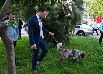 «Ο Κασσελάκης πήγε τον σκύλο να κάνει την ανάγκη του μόλις έφτασε; Ήμαρτον δηλαδή» – Το σχόλιο της Ράνιας Τζίμα on air