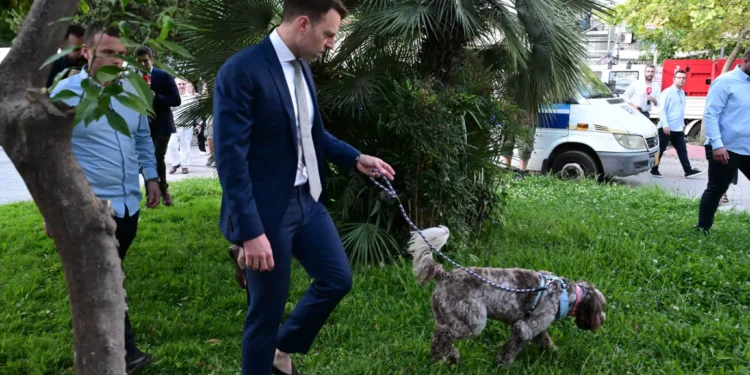 «Ο Κασσελάκης πήγε τον σκύλο να κάνει την ανάγκη του μόλις έφτασε; Ήμαρτον δηλαδή» – Το σχόλιο της Ράνιας Τζίμα on air