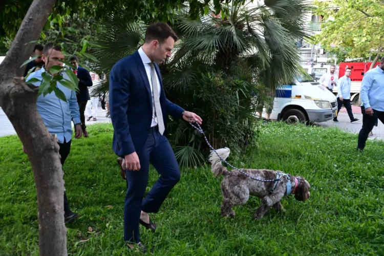 «Ο Κασσελάκης πήγε τον σκύλο να κάνει την ανάγκη του μόλις έφτασε; Ήμαρτον δηλαδή» – Το σχόλιο της Ράνιας Τζίμα on air