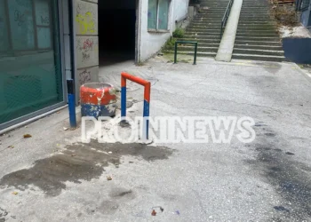 Καβάλα: Ποντίκι δάγκωσε γυναίκα στο κέντρο της πόλης