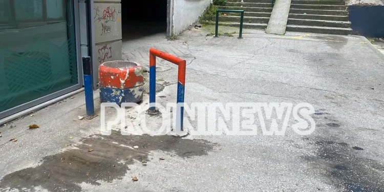 Καβάλα: Ποντίκι δάγκωσε γυναίκα στο κέντρο της πόλης