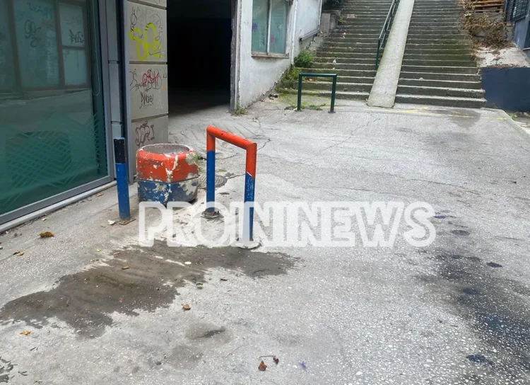 Καβάλα: Ποντίκι δάγκωσε γυναίκα στο κέντρο της πόλης