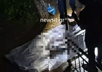 Λιόσια: «Ο πατέρας μου πέθανε τον Φεβρουάριο, τον έτρωγαν τα σκουλήκια και αναγκάστηκα να τον κάψω» είπε ο 57χρονος στους αστυνομικούς