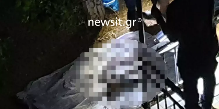 Λιόσια: «Ο πατέρας μου πέθανε τον Φεβρουάριο, τον έτρωγαν τα σκουλήκια και αναγκάστηκα να τον κάψω» είπε ο 57χρονος στους αστυνομικούς