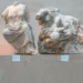 Γλυπτά του Παρθενώνα: Η Τουρκία ακυρώνει το φιρμάνι πώλησης των Μαρμάρων στον Έλγιν