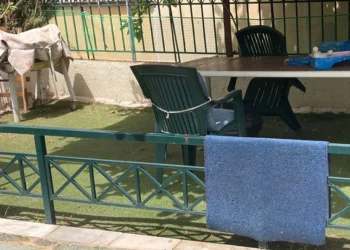 Χαλάνδρι: Πρόστιμο 1.000 ευρώ σε «ακαθάριστο» κήπο με …συνθετικό χλοοτάπητα – Δείτε φωτογραφίες