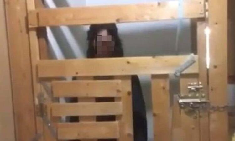 Φρίκη στην Καλαμάτα: 29χρονη μένει σε ξύλινο κλουβί από το 2017 – Τι καταγγέλλουν οι γονείς της