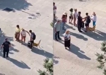 Πολωνός τουρίστας «κοκκάλωσε» για 2 ώρες στο κέντρο της Λαμίας: Οι διασώστες έδωσαν «μάχη» για να τον βάλουν στο φορείο (vid)