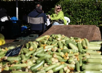 Ακρίβεια: Η Τράπεζα της Ελλάδος διαψεύδει τον Μητσοτάκη