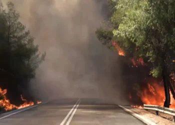 Φωτιά σε δασική έκταση στο Σοφικό Κορινθίας – Τραυματίστηκαν ελαφρά τρεις πυροσβέστες, δείτε βίντεο