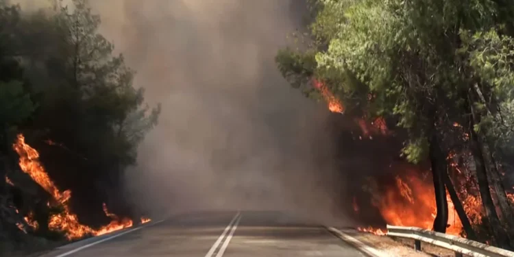 Φωτιά σε δασική έκταση στο Σοφικό Κορινθίας – Τραυματίστηκαν ελαφρά τρεις πυροσβέστες, δείτε βίντεο