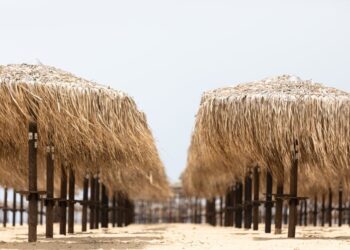 Λουκέτο σε beach bar στην Κυπαρισσία – Έκοβε αποδείξεις από… ταμειακές φάντασμα