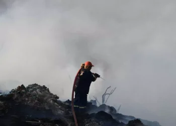 Φωτιά στην Εύβοια: Διάσπαρτες εστίες – Αυξήθηκαν τα εναέρια μέσα