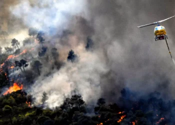 Φωτιά στη Ροδόπη στην περιοχή Αμπελάκια: Σηκώθηκαν τα εναέρια μέσα, ήχησε το 112