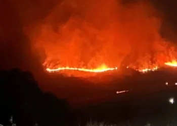 Φωτιά στις Σέρρες: Συνεχίζεται η μάχη στο Αχλαδοχώρι – Εστάλη 112 τα ξημερώματα