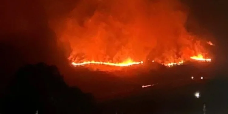 Φωτιά στις Σέρρες: Συνεχίζεται η μάχη στο Αχλαδοχώρι – Εστάλη 112 τα ξημερώματα