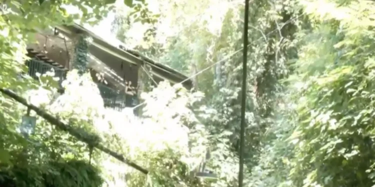 Βέροια: Βίντεο από το σερβίρισμα καφέ στην Μπαρμπούτα με… εναέριο δίσκο