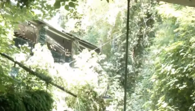 Βέροια: Βίντεο από το σερβίρισμα καφέ στην Μπαρμπούτα με… εναέριο δίσκο