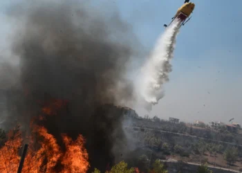 Μεγάλη αναζωπύρωση στον Διόνυσο – Έκκληση για εναέρια μέσα από τη δήμαρχο Κατερίνα Μαϊχόσογλου για να προλάβουν τη φωτιά