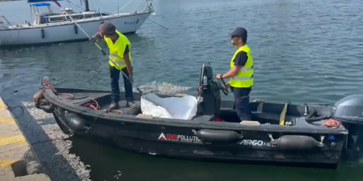 Βόλος: Ξεκίνησε ο καθαρισμός της θάλασσας από τα νεκρά ψάρια