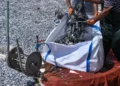 Νεκρά ψάρια στον Βόλο: Αποτελούν τον καλύτερο μεζέ για καρχαρίες – Προσοχή στους κολυμβητές
