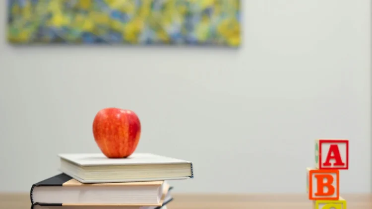 Σχολεία 2024: Σε ποια βιβλία έχουν γίνει αλλαγές για το νέο σχολικό έτος – Επανέρχεται το «καλάθι των μαθητών»