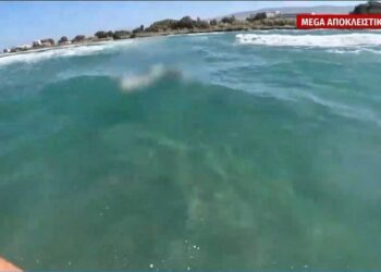 Σοκαριστικό βίντεο από την Κω: Σέρφερ εντόπισε σορό άνδρα στη θάλασσα – Επέπλεε για μια εβδομάδα