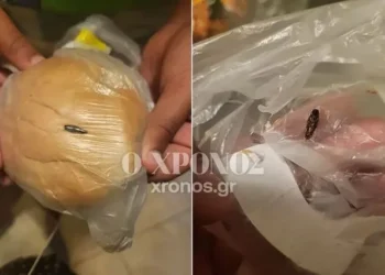 Κομοτηνή: Μαθήτρια εντόπισε κατσαρίδα σε σχολικό γεύμα