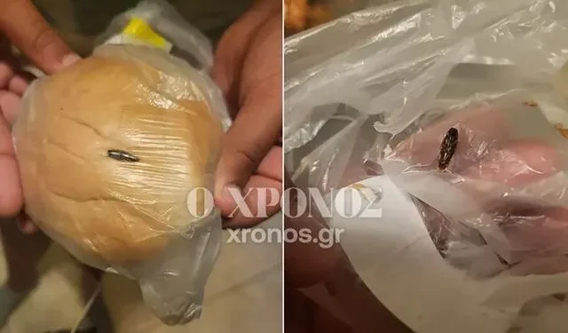 Κομοτηνή: Μαθήτρια εντόπισε κατσαρίδα σε σχολικό γεύμα