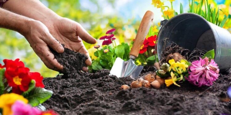 Ανακαλύψτε την Κηπουρική μέσω Διαδικτύου