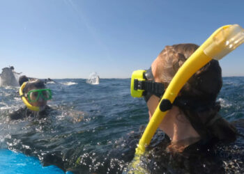 Αυστραλία: Η στιγμή που φάλαινα 30 τόνων πετάει στον αέρα κολυμβητή (Βίντεο)