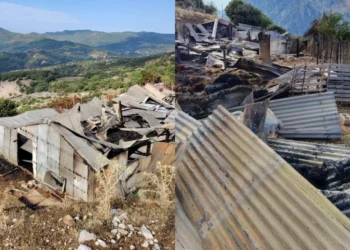 Αιτωλοακαρνανία: Πυρκαγιά από κεραυνό σκότωσε 150 ζώα σε στάβλο, δείτε φωτογραφίες