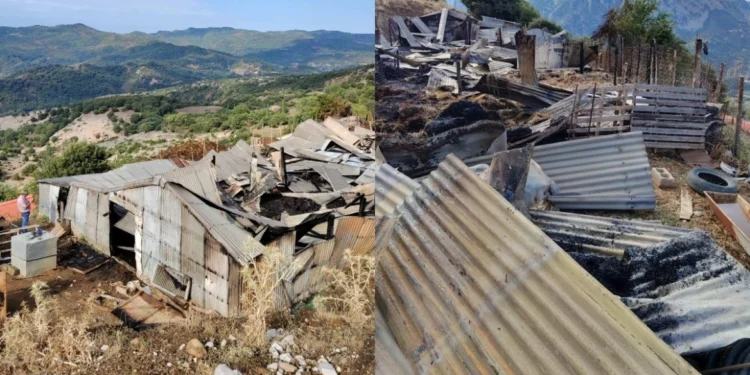 Αιτωλοακαρνανία: Πυρκαγιά από κεραυνό σκότωσε 150 ζώα σε στάβλο, δείτε φωτογραφίες