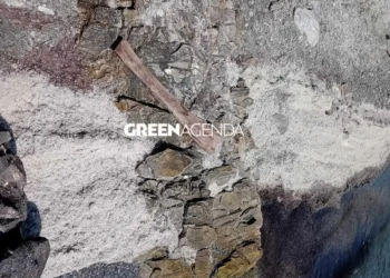 Ασύλληπτες εικόνες στον Βόλο: Άσπρισαν παραλίες από λέπια και σκελετούς ψαριών που αποσυντέθηκαν